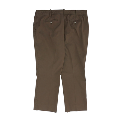 Brown Plus Regular Pants