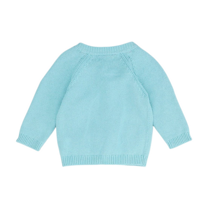 Blue Cardigan Sweater