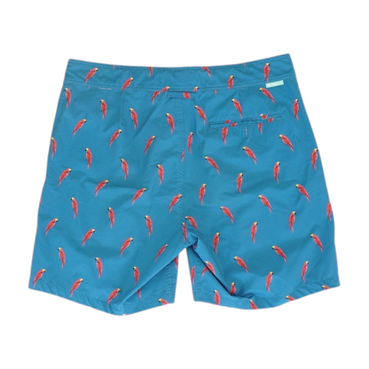 Blue Graphic Swim Bottom