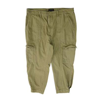 Brown Plus Tapered Pants