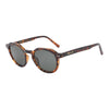 Tortoise CH4-TIGOLI Round Sunglasses