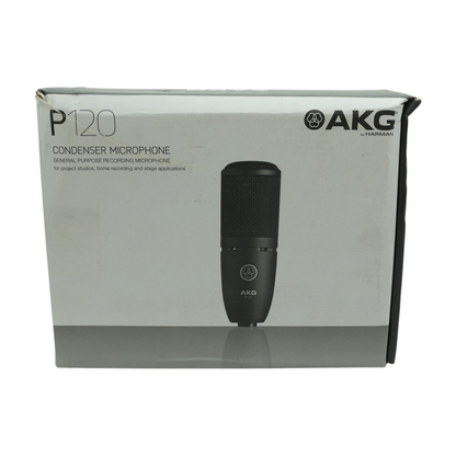 P120 Condenser Microphone
