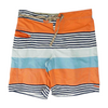 Multi Striped Swim Bottom