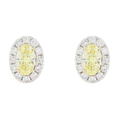 10K White Gold Oval Yellow Center With Halo Lab Grown Diamond Stud Earrings