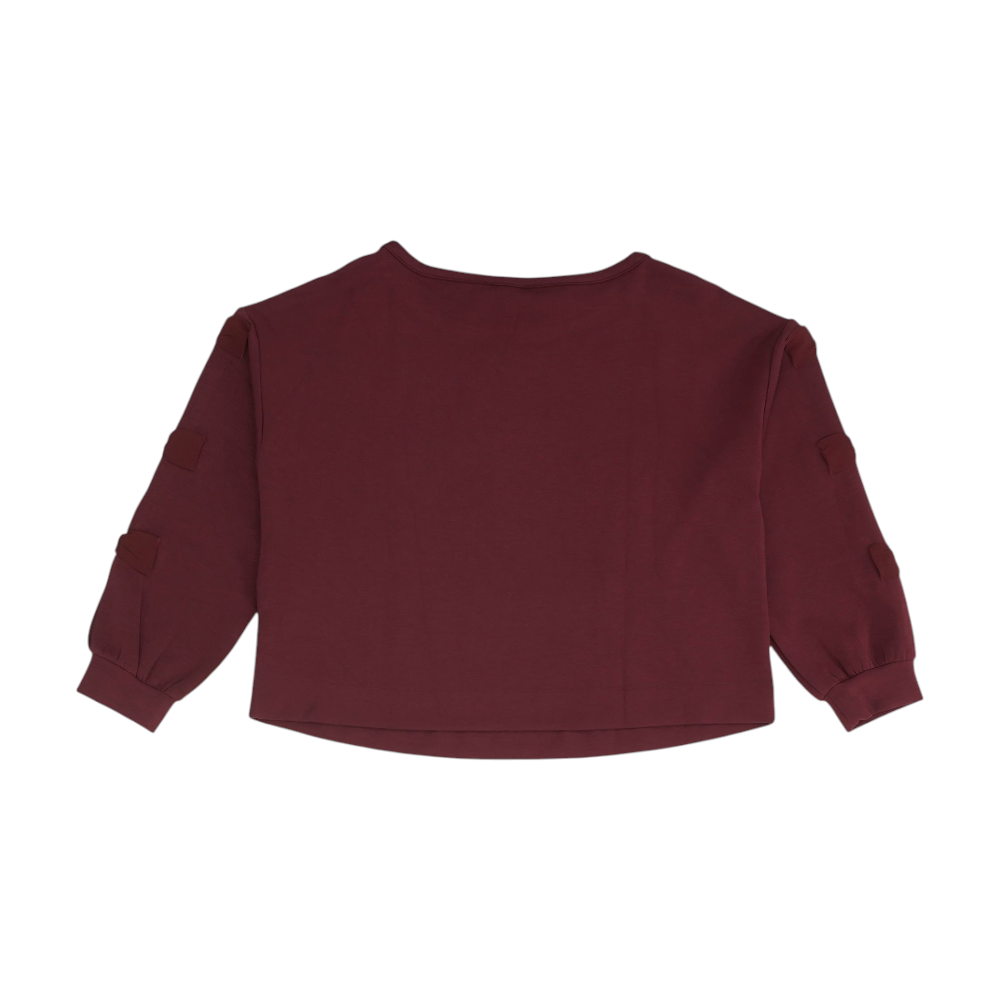 Burgundy Solid Sweatshirt Pullover