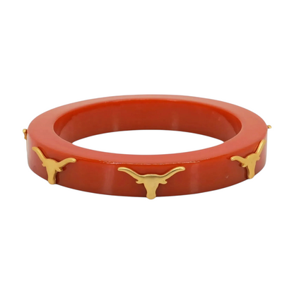 Texas Longhorns Themed Grab Bag