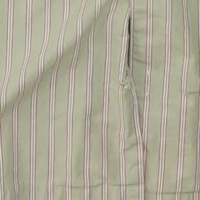 Green Striped Short Sleeve Button Down