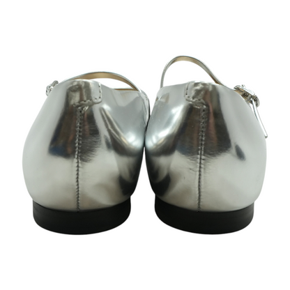 Silver Flats
