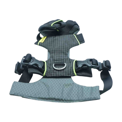 Gray Dog Harness & Leash