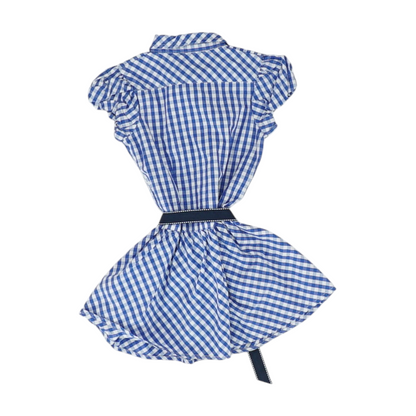 Blue Check Dress