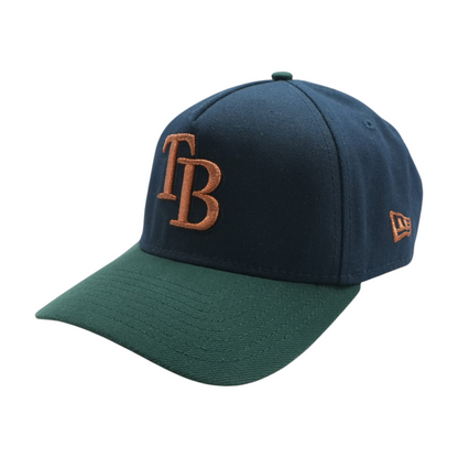 Navy Tampa Bay Rays Ballcap