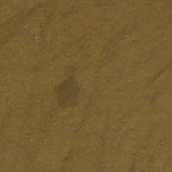 Brown Solid T-Shirt