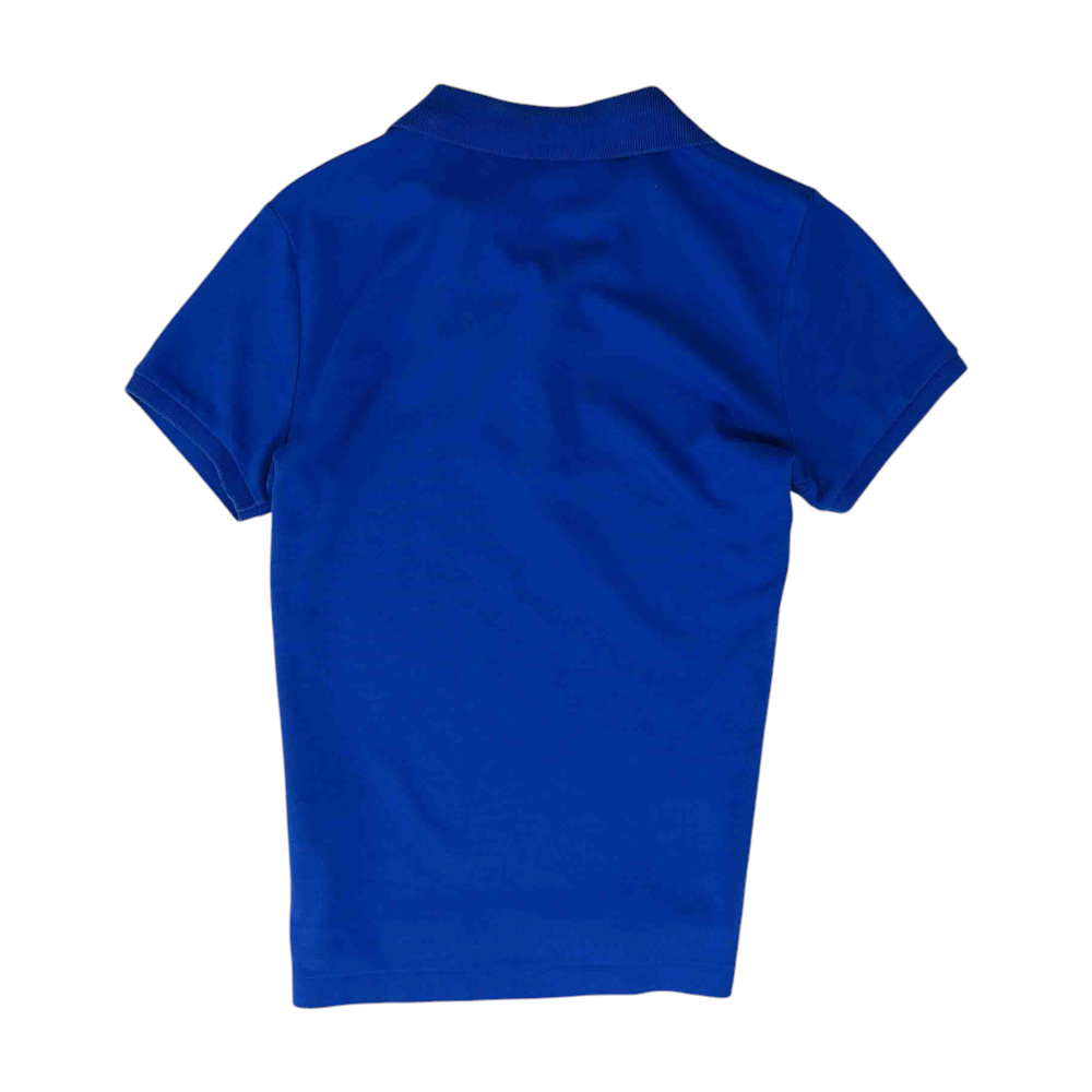Blue Blouse