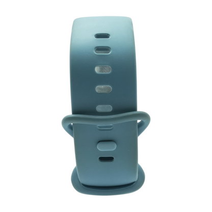 20mm Charge 6 Silver Activity Tracker Blue Band S/M