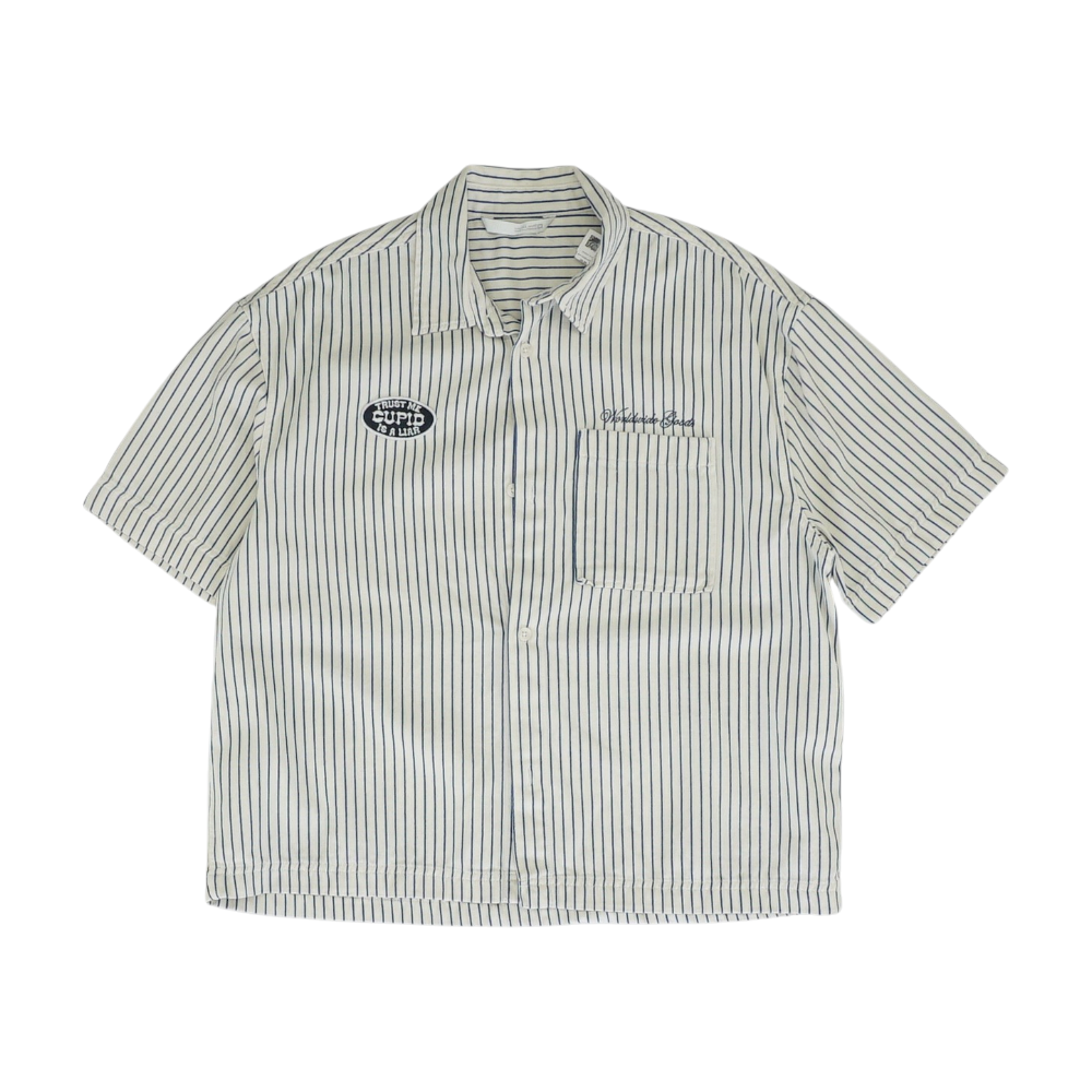 Blue Striped Short Sleeve Button Down