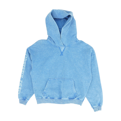 Blue Solid Hoodie Pullover