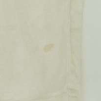 Ivory Chino Shorts