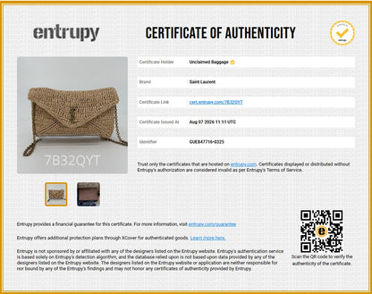 Cassandre Chain Pouch in Raffia