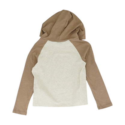 Gray Color Block Hoodie Pullover