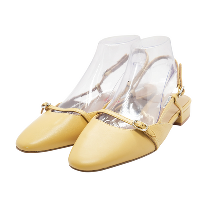 Tan Flats