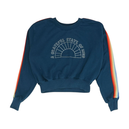 Blue Solid Sweatshirt Pullover