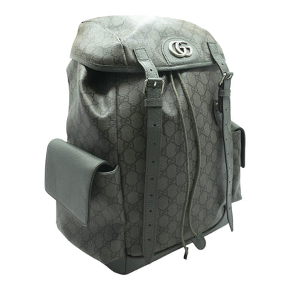 Gray Ophidia Backpack