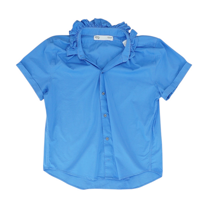 Blue Blouse