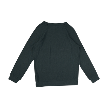 Blue Solid Sweatshirt Pullover