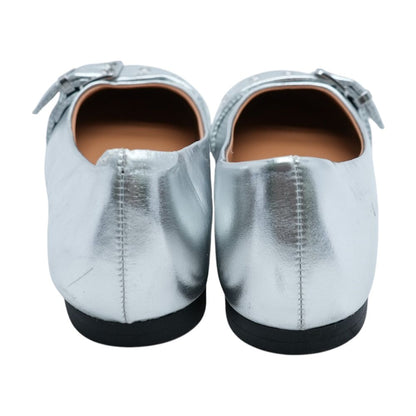 Silver Flats
