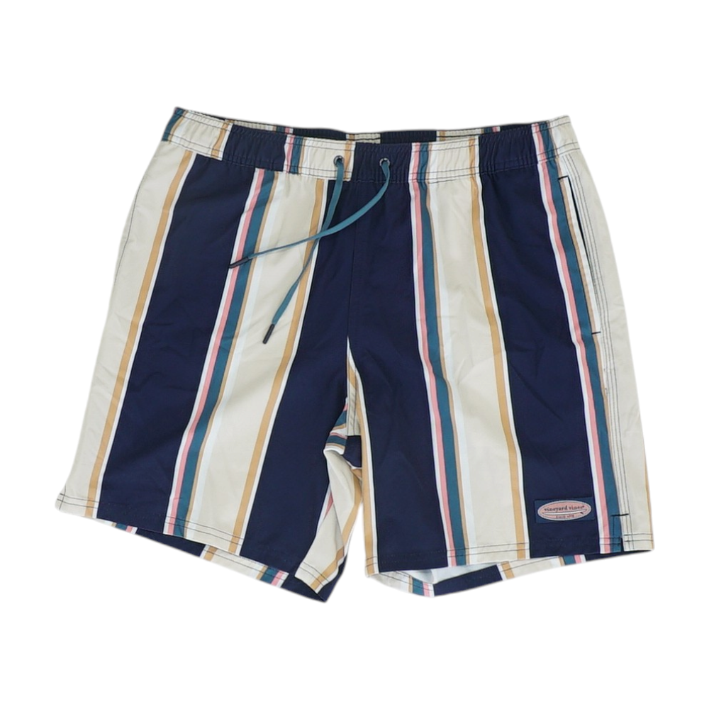 Multi Striped Swim Bottom