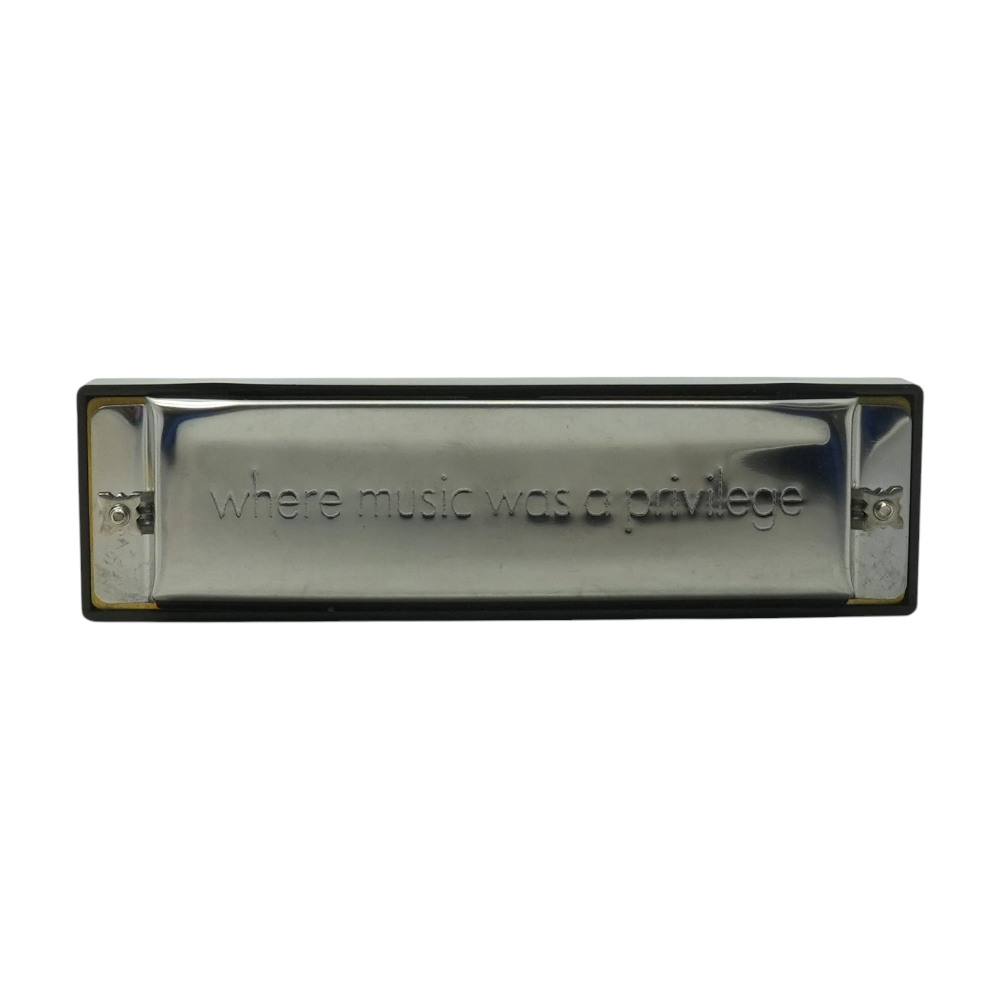 Harmonicas with Picks