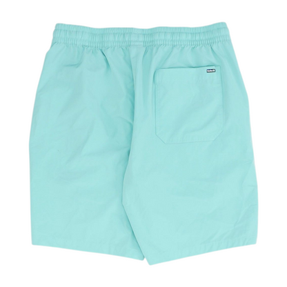Blue Swim Bottom
