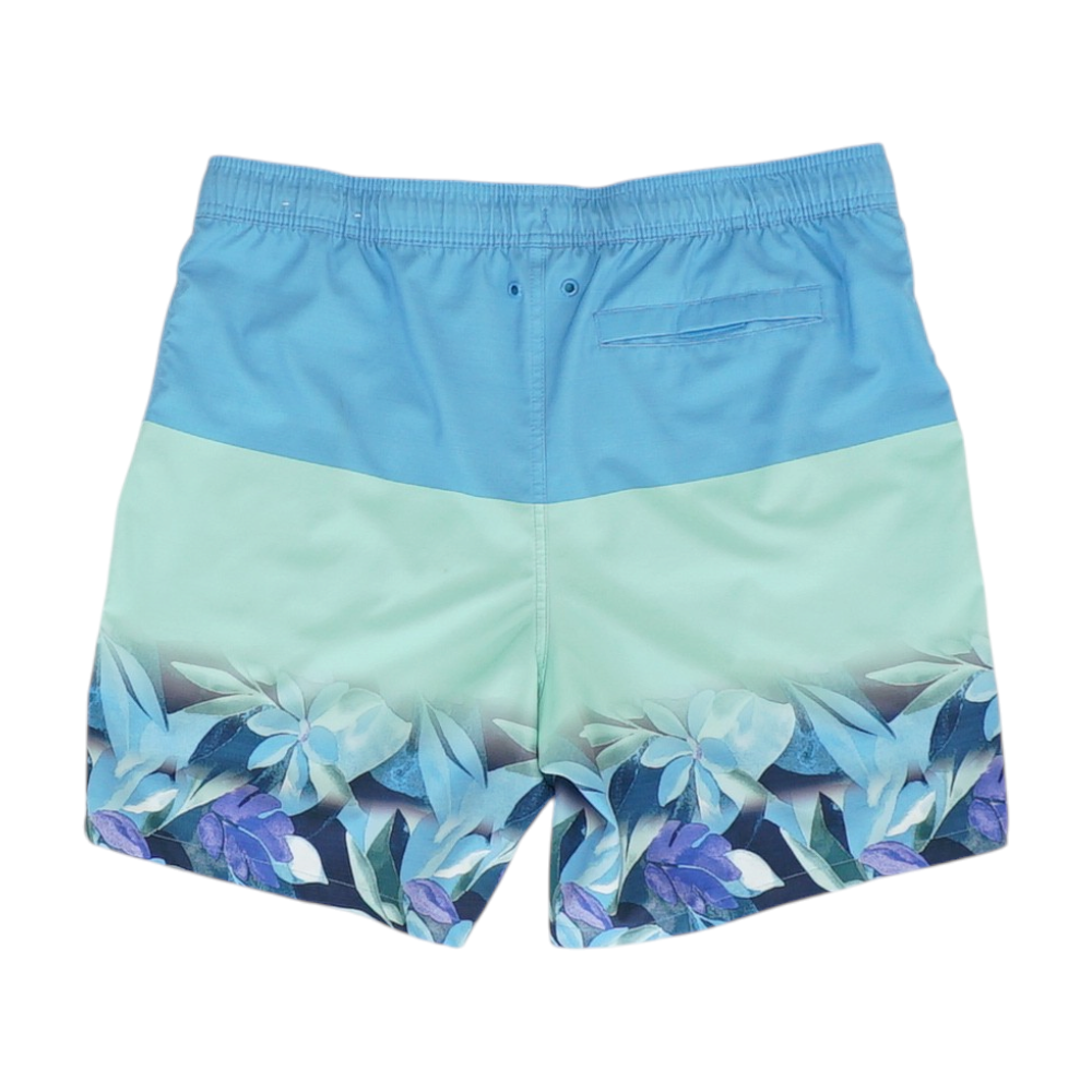 Blue Color Block Swim Bottom