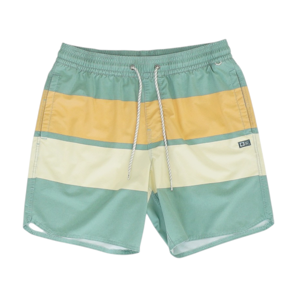 Green Color Block Swim Bottom