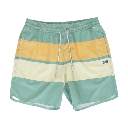 Green Color Block Swim Bottom