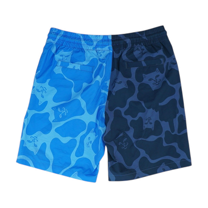 Blue Color Block Swim Bottom