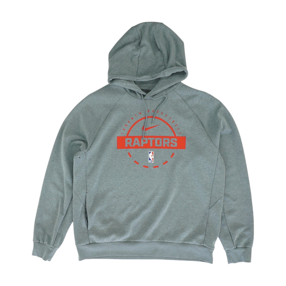 Gray Toronto Raptors Solid Hoodie Pullover