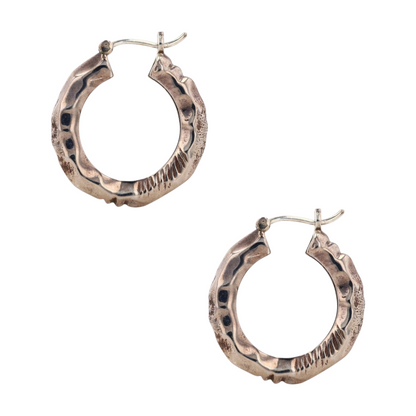 Costume Hoop Earrings