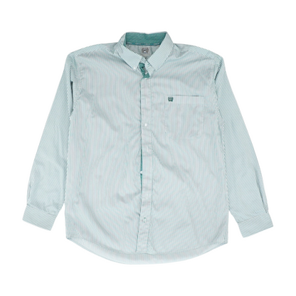 Green Striped Long Sleeve Button Down