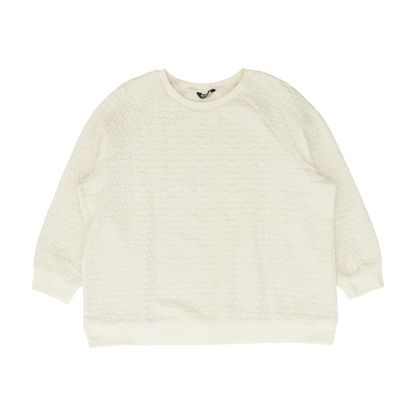 Ivory Plus Solid Sweatshirt Pullover