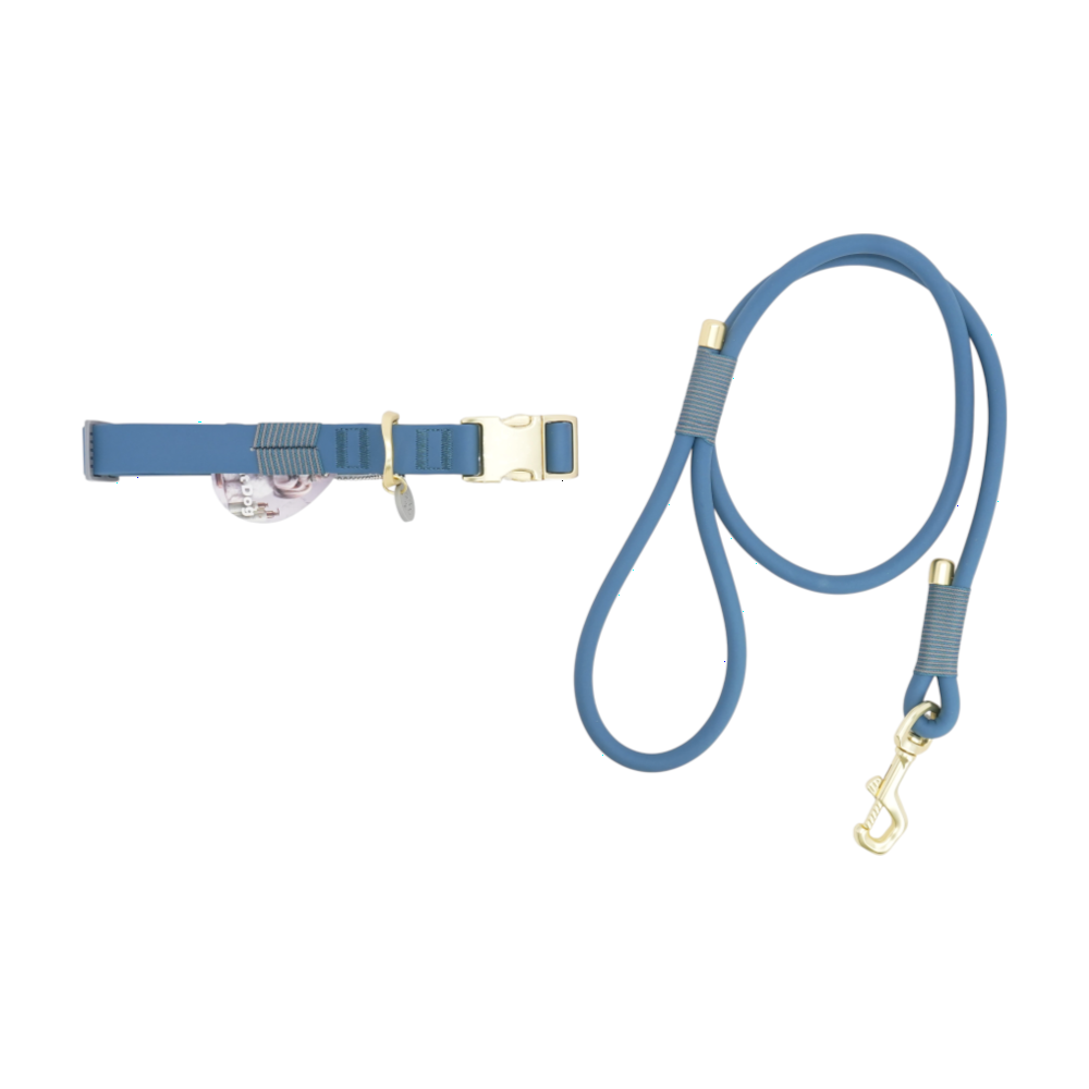 Blue Dog Collar & Leash
