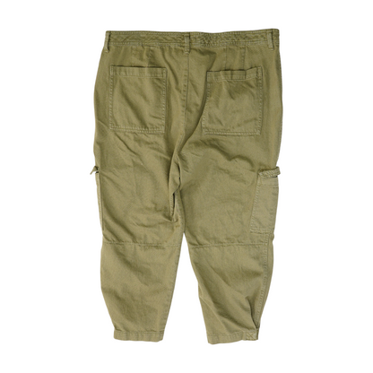 Brown Plus Tapered Pants