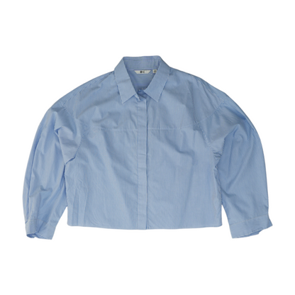 Blue Striped Button Down