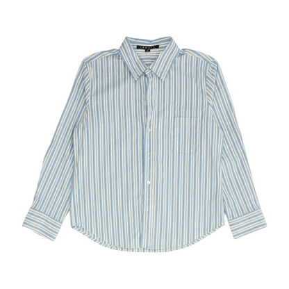 Blue Striped Long Sleeve Button Down