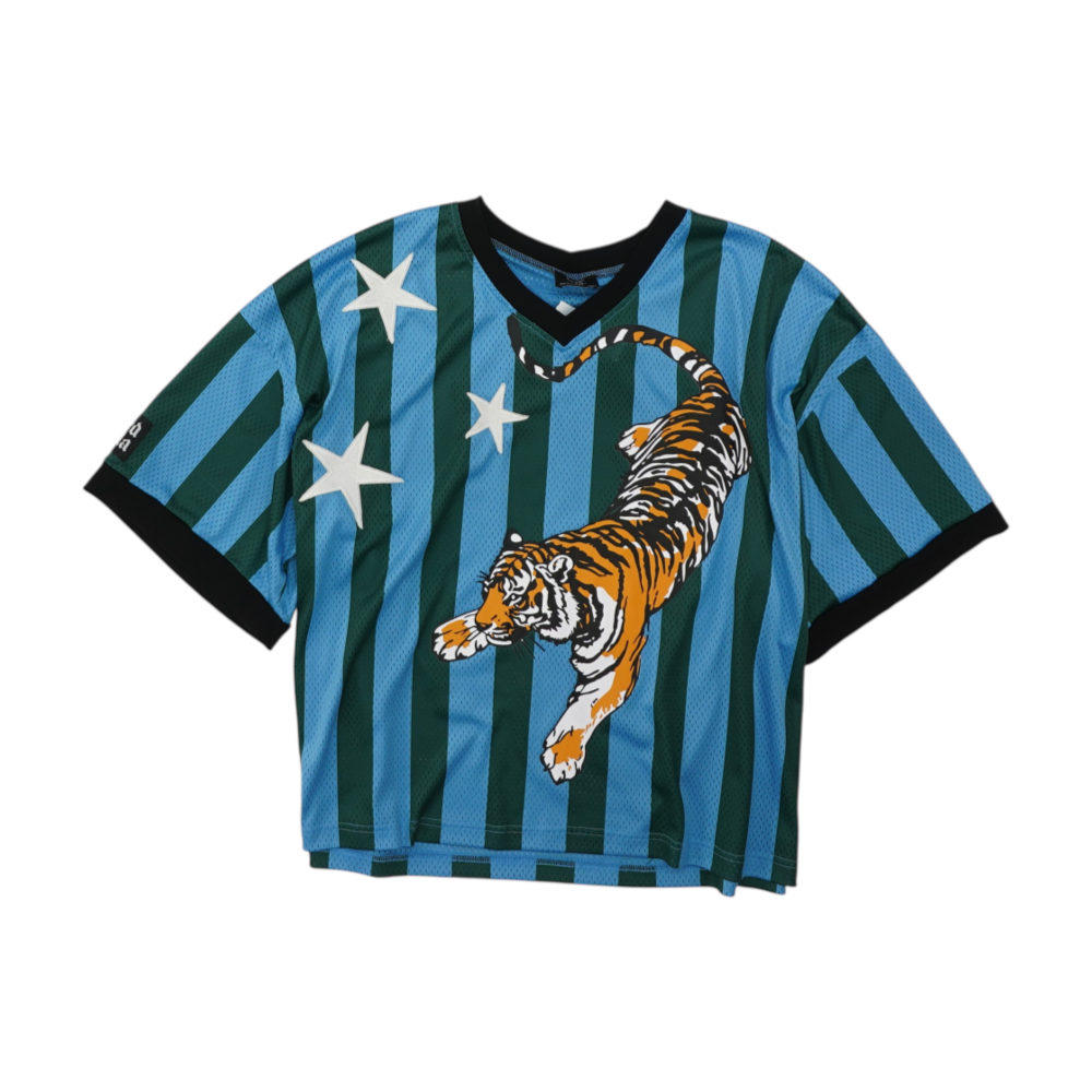 Blue Striped Blouse