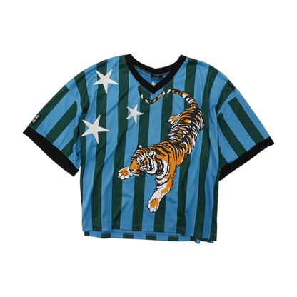 Blue Striped Blouse