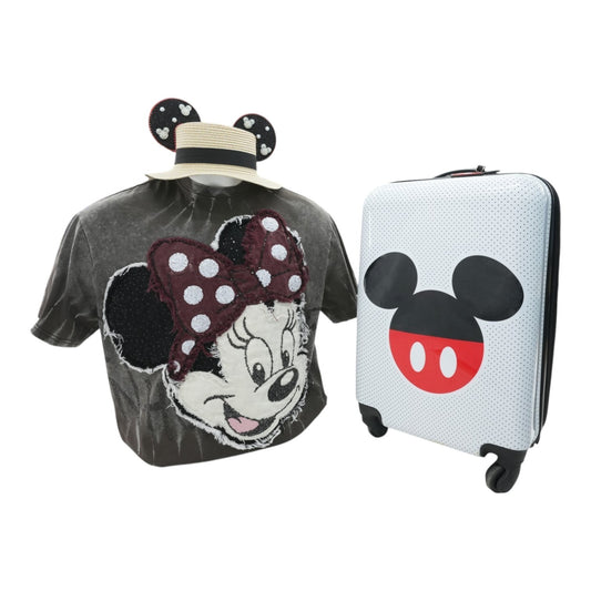 In Pursuit Of Disney Bundle