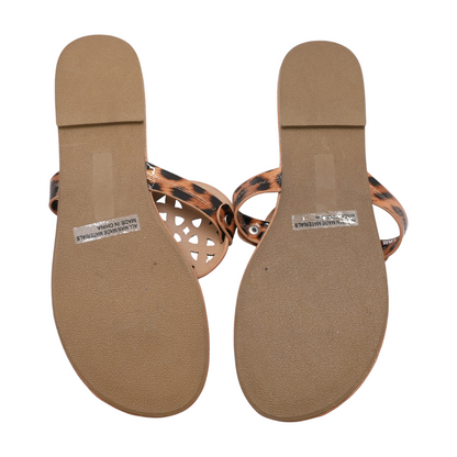 Brown Sandals