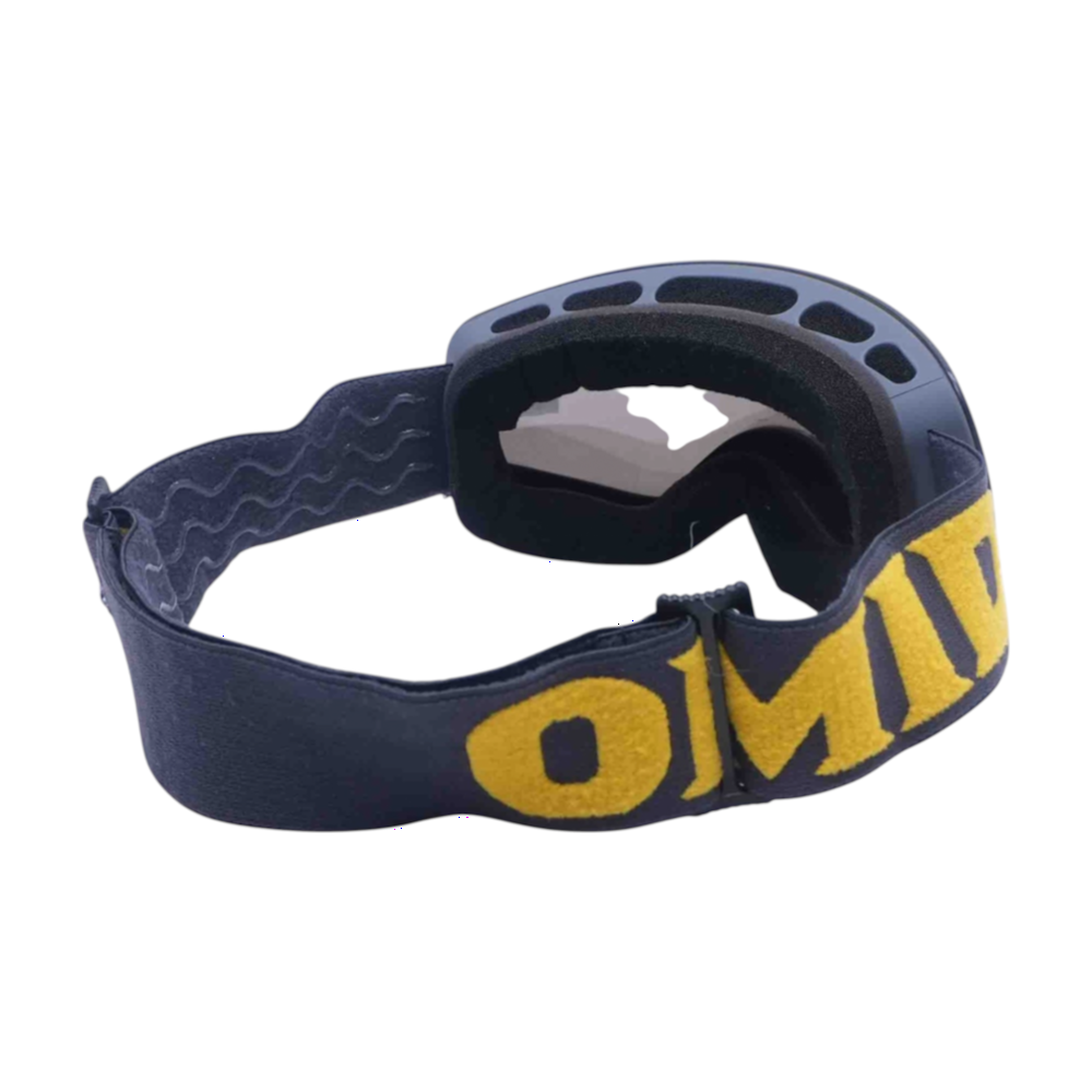 Ski Goggles
