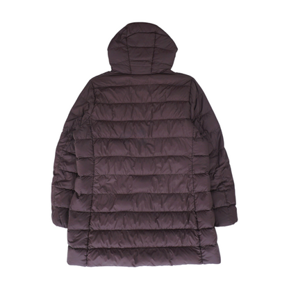 Brown Solid Coat